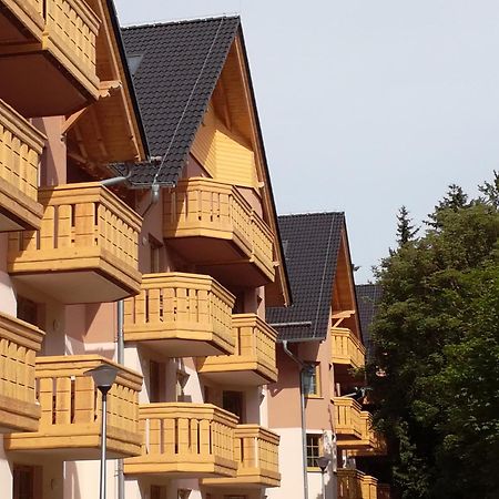 Appartement Apartament Podgorze 21 à Szklarska Poreba Extérieur photo